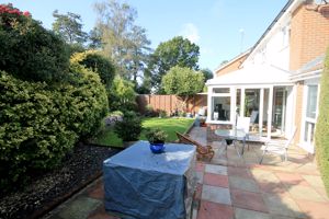 Photo 10- click for photo gallery